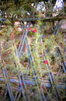 IMG 0025